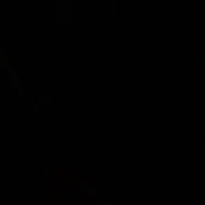 Meet your Posher, Craig